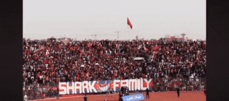 Ultrasshark07 GIF