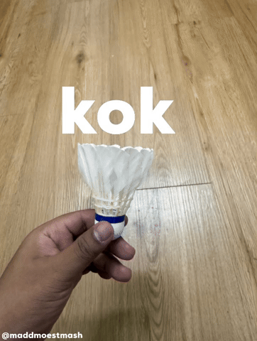 Kok GIF
