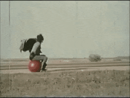 Texas GIF