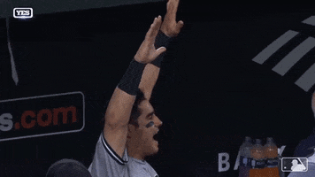 Celebrate Mike Tauchman GIF by New York Yankees