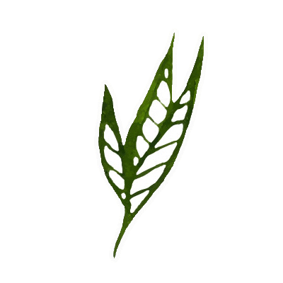 Flower Sticker