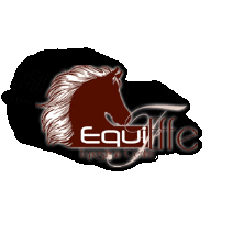 Equieffe Equestrian Centre Sticker