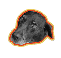 Local Flooring Group Sticker