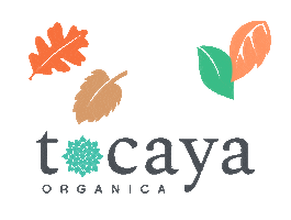 Food Fall Sticker by tocayaorganica