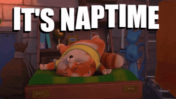 Sleepy Nap Time GIF by 44 Cats