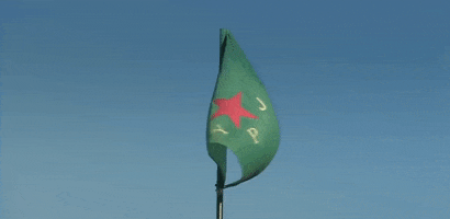 Ypj GIF