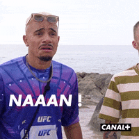 Jonathan Cohen Reaction GIF by CANAL+