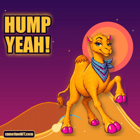 Hell Yeah Yes GIF by CamelToe