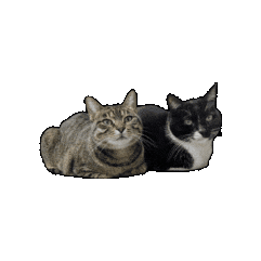 Oscar Castro Ruiz Sticker