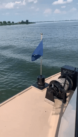 Blue Amigo GIF