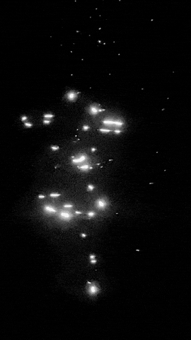 Sparkle GIF by Hello Moth