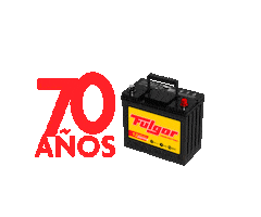 Fulgorvzla Sticker