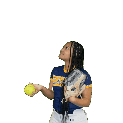 Clarke Softball Sticker by Clarke University