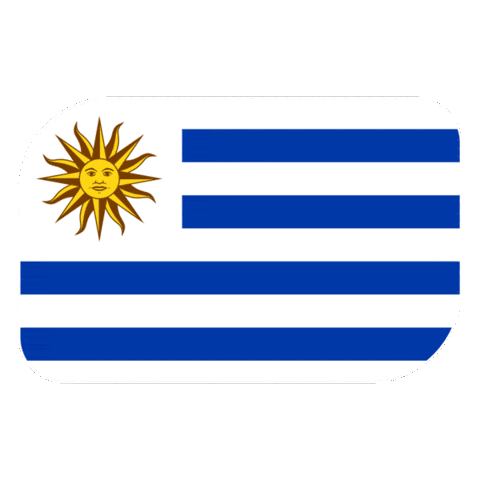 World Cup Football Sticker