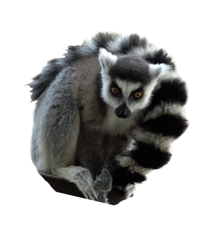 Tierpark Dessau Sticker