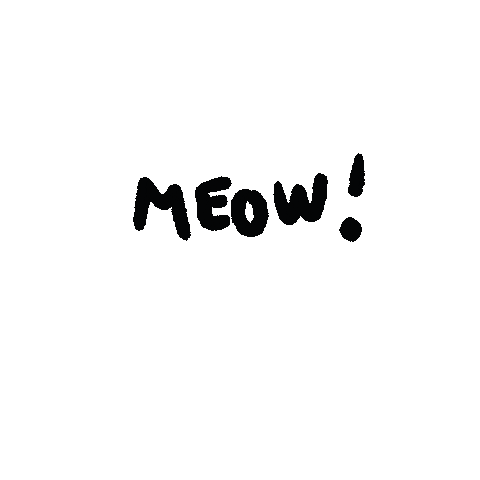 Cat Sticker