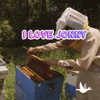 200w.gif
