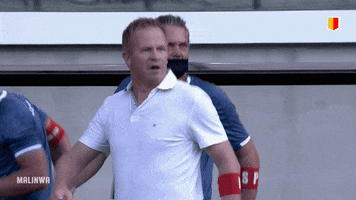 KV Mechelen GIF