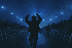 응디 GIF
