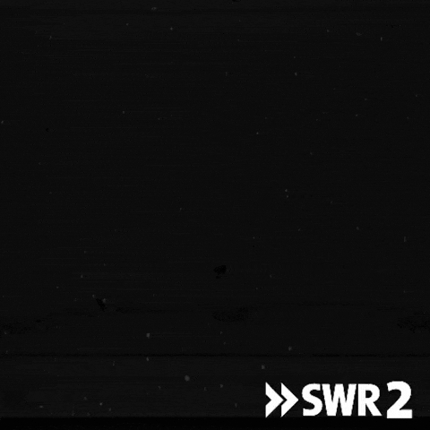 Surprise Hello GIF by SWR2