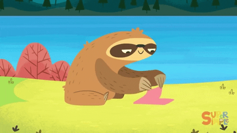 sloth swimming gif