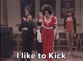 Snl GIF