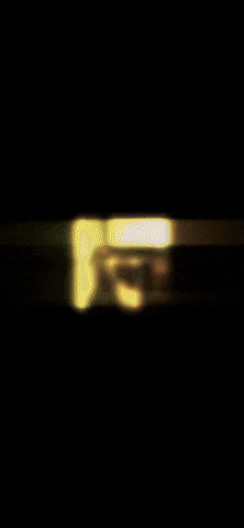 Bammad GIF
