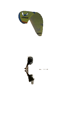 DUST-PROPELLER Sticker