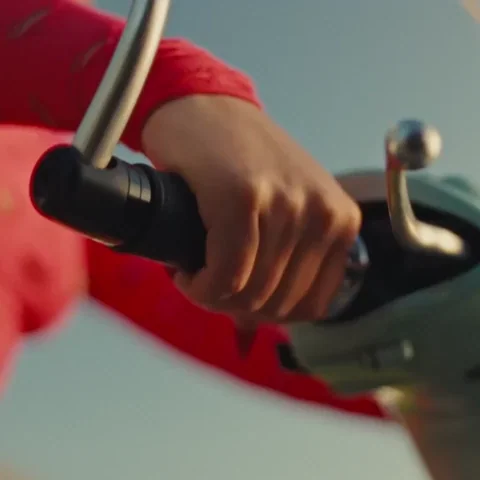 Motorcycle GIF by Remi Wolf