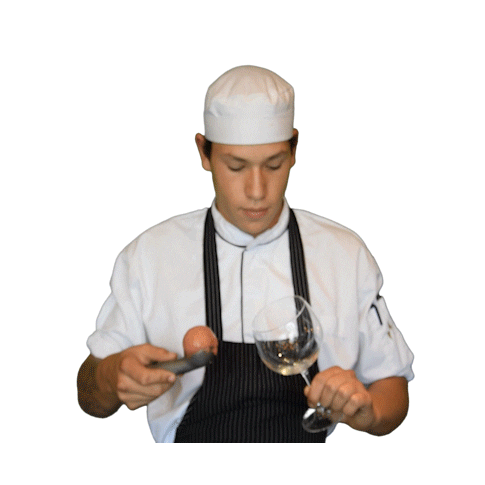 Horeca Harderwijk Sticker by DeBoterlap