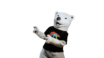 Bear Bet Sticker by Coolbet Chile