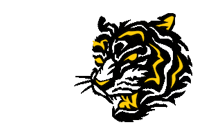 Muay Thai Fitness Sticker by Iron Tiger