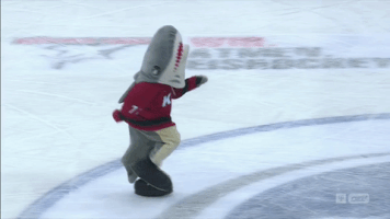 DEL-Redaktion sharky kÃ¶lner haie GIF