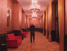 wes anderson GIF by Digg