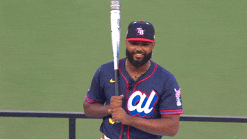 Tampa Bay Rays Sport GIF by MLB