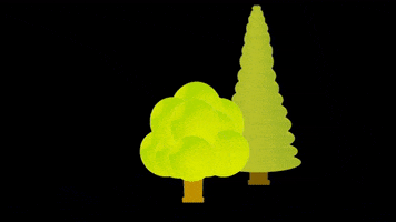 merikinbynature GIF
