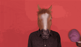 horse GIF by ADWEEK