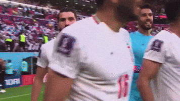 World Cup Iran GIF