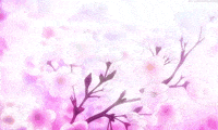 Flowers Sakura GIF - Flowers Sakura CherryBlossom - Discover & Share GIFs |  Anime scenery wallpaper, Anime background, Witch wallpaper