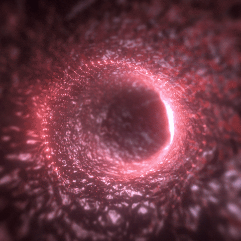 Loop Motion GIF by xponentialdesign