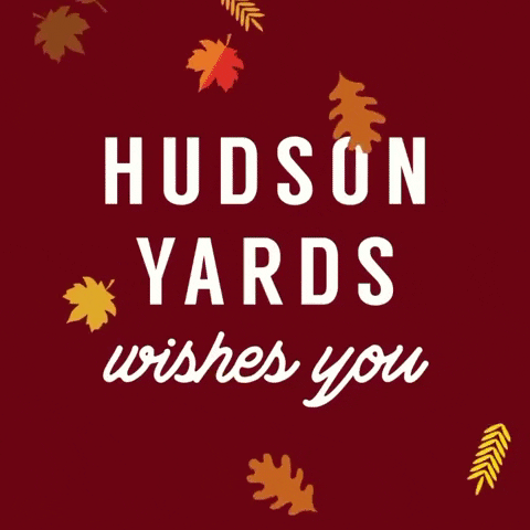 hudson_yards thanksgiving hudsonyards vesselnyc GIF
