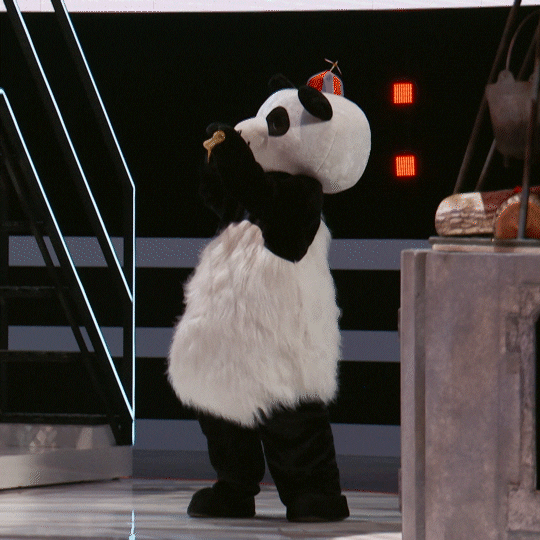 Giant Panda GIF by ABC Network
