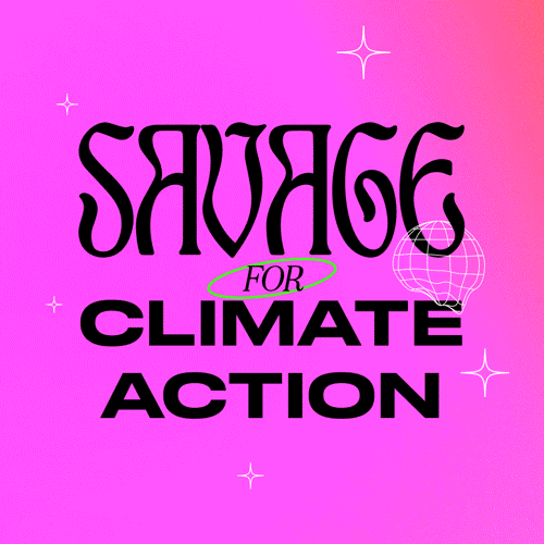 Text gif. Stylized text surrounded by sparkles against an orange and pink background reads, “Savage for climate action.”