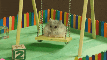 Hamster Swinging GIF