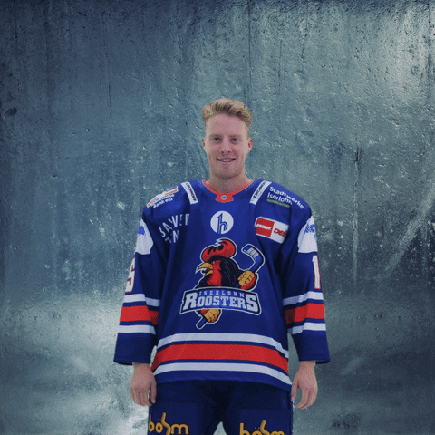 Sport Applause GIF by Iserlohn Roosters