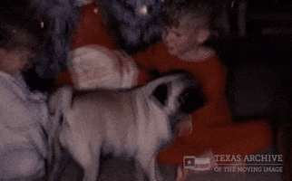 Home Movie Dog GIF by Texas Archive of the Moving Image