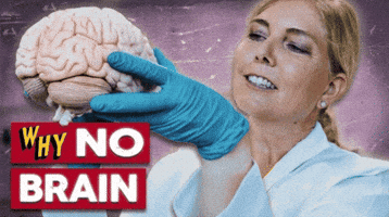 No Brain GIF