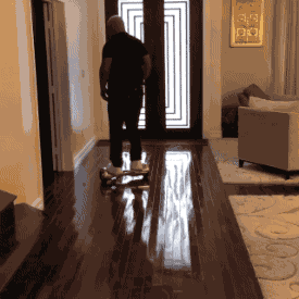 mike tyson hoverboard GIF