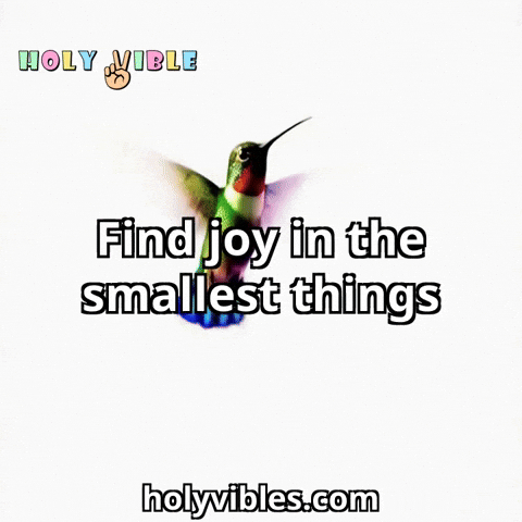 Joy Happiness GIF by Holy Vibles