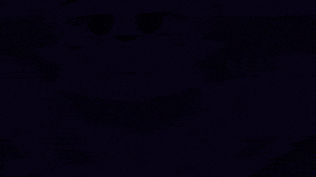 Reaction GIF